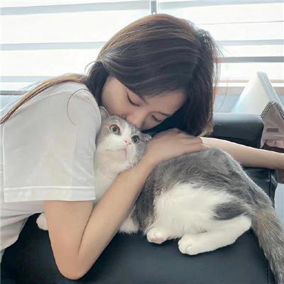 完美世界
